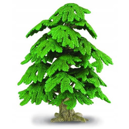 Drzewo Ginko Biloba, Collecta