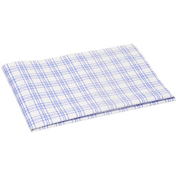 Ścierka z mikrofibry Vileda Professional 40 60 cm