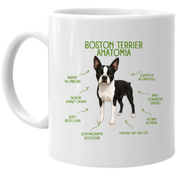 Anatomia Boston Terriera - kubek na prezent