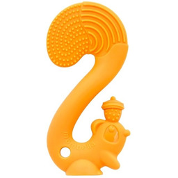 Mombella, Gryzak, Squirrel, Orange