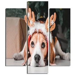 Homemania Pies obraz 3 sztuki-Zwierzęta-Salon, sypialnia-wielokolorowe, 57 X