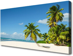 Obraz Canvas Plaża Palma Morze Krajobraz