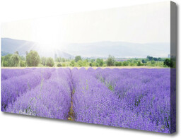 Obraz Canvas Pole Lawendy Natura Łąka