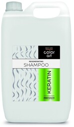 PROSALON PROFESSIONAL Basic Care Color Art Regenerujący Szampon