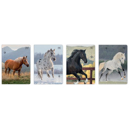 Zeszyt A5/32K 3kol linia 70g UV Wild Horses(10szt)