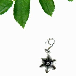 Charm - Niezapominajka