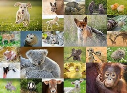 Puzzle dla dzieci 2D: Zwierzątka 200 elementów