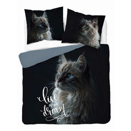 Detexpol Pościel bawełniana 220x200 czarna szara kot Live