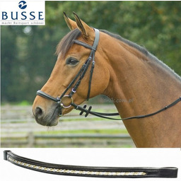 BUSSE Ogłowie z nachrapnikiem hanowerskim Allround Hannover