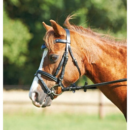 BUSSE Ogłowie z nachrapnikiem angielskim kombinowanym Mini-Shetland