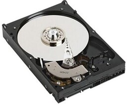 Dysk serwerowy DELL 1TB 7.2K RPM SATA 6Gbps