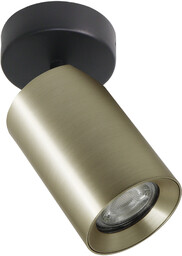Lampa sufitowa TORE ZŁOTA/GOLD TLS006-GLD - Zuma Line