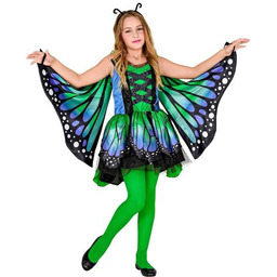 Strój Motyla Motylka-158