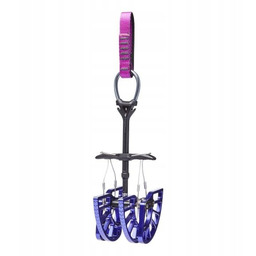 Friendy Black Diamond Camalot C4 #5