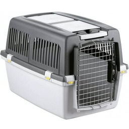 STEFANPLAST Transporter Gulliver 5 Szary