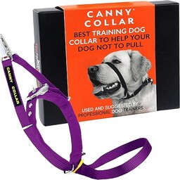 Canny Collar  Obroża Treningowa Przeciw Ciągnięciu Kantar