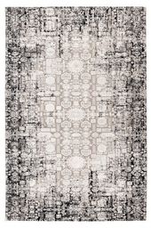 Dywan Obsession Phoenix PHO120 grey