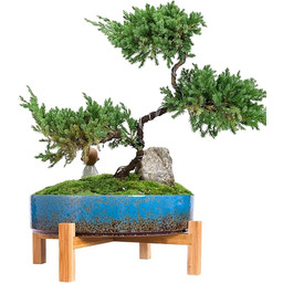 ARTKETTY Doniczki na rośliny, 29 cm, ceramiczna doniczka