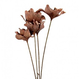Sztuczne Kwiaty Suszone 60 cm G Clayre &