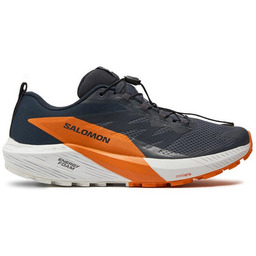 Buty do biegania Salomon Sense Ride 5 Gore-Tex