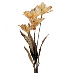 Sztuczne Kwiaty Suszone 60 cm J Clayre &
