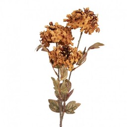 Sztuczne Kwiaty Suszone 76 cm A Clayre &