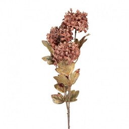 Sztuczne Kwiaty Suszone 76 cm C Clayre &