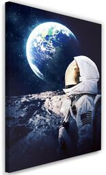 Obraz na płótnie, Astronauta patrzący na Ziemie