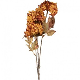 Sztuczne Kwiaty Suszone 76 cm D Clayre &