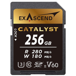ExAscend EX256GSDV60 Catalyst - karta SDXC 256GB, UHS-II,