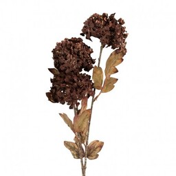 Sztuczne Kwiaty Suszone 76 cm E Clayre &