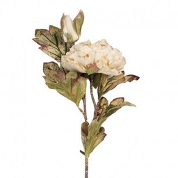 Sztuczne Kwiaty Suszone 76 cm F Clayre &