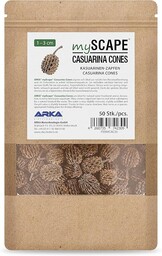 ARKA mySCAPE-Casuarina Cones - 50 sztuk - naturalne