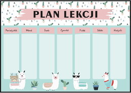 Plan lekcji lamy i kaktusy, nowy rok szkolny,