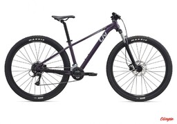 Giant Rower Liv Tempt 3 29