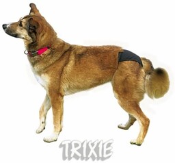 Trixie Majtki Ochronne Dla Suczki Rozmiar L