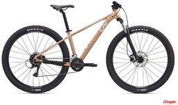 Giant Rower Liv Tempt 3 29