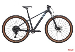 Giant Rower Liv Tempt 1 27,5