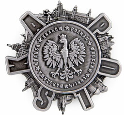 Magnes obrotowy Polska