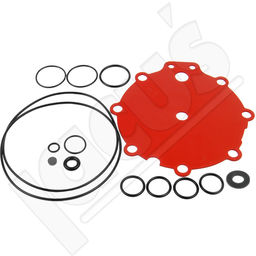 Komplet naprawczy reduktora AC R01 250KM czerwony