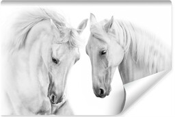 Muralo Fototapeta Białe Konie Zwierzęta 3D 208x146cm