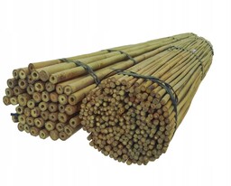 Tyczki bambusowe 90 cm 12/14 mm /100 szt/