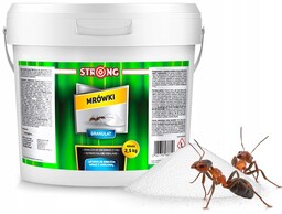 Mocny Środek Proszek Na Mrówki Granulat Na Mrówki