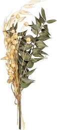 Rayher Bukiet suszonych kwiatów, zielony piniowy, 18-20 cm,