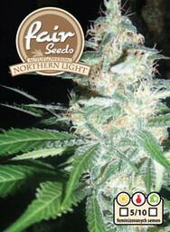 Northern Light - 5 fem. i Seeds of