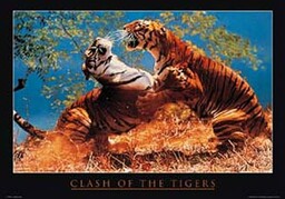 Empire 15938 kot drapieżny Clash of the Tigers