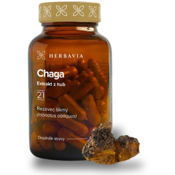 Chaga