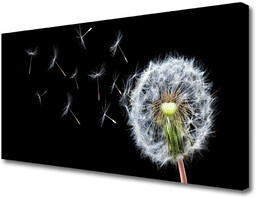 Obraz Canvas Dmuchawce Kwiaty Natura