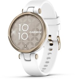 Zegarek Garmin Venu 2 (45 mm) Slate Stainless