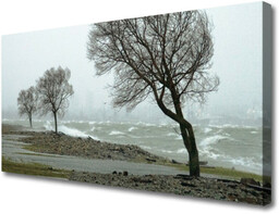 Obraz Canvas Morze Sztorm Fale